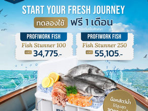 ทดลองใช้เครื่องน็อคสัตว์น้ำ